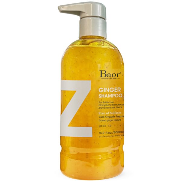 BAOR SHAMPOO 500ML Z GINGER ANTICAIDA