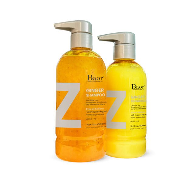 BAOR GINGER Z CONTROL CAIDA Kit Shampoo 500 ml + Conditioner 300 ml